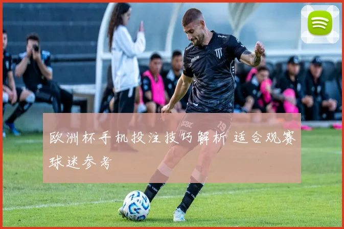 欧洲杯手机投注技巧解析 适合观赛球迷参考
