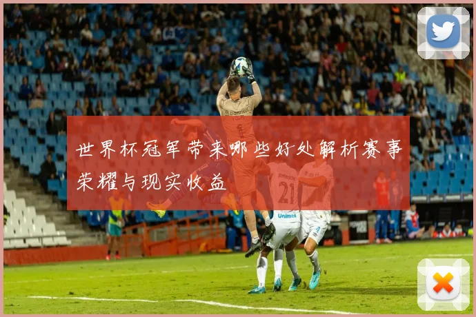 世界杯冠军带来哪些好处解析赛事荣耀与现实收益