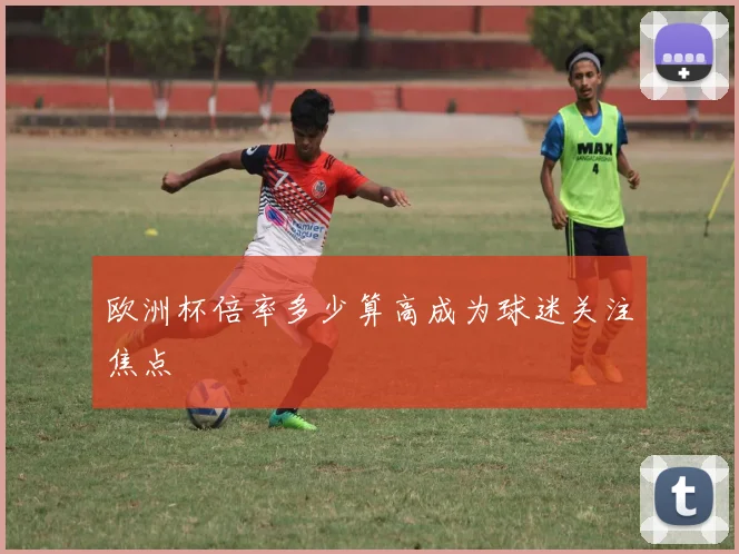 欧洲杯倍率多少算高成为球迷关注焦点