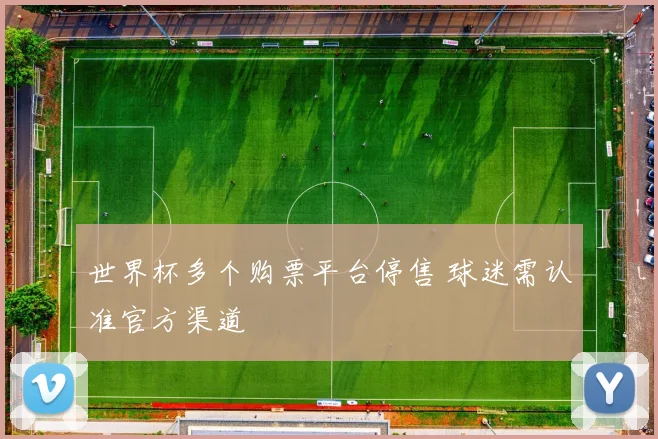 世界杯多个购票平台停售 球迷需认准官方渠道