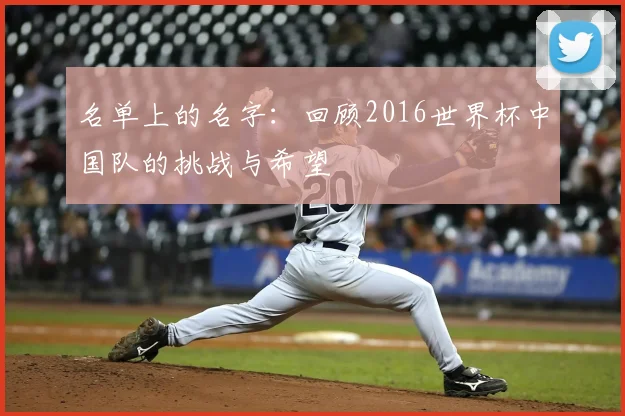 名单上的名字：回顾2016世界杯中国队的挑战与希望