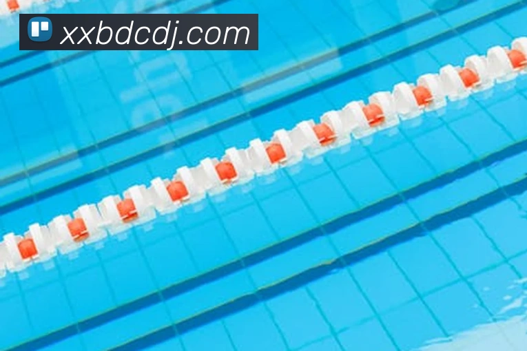 世界杯平台官网登录服务体系